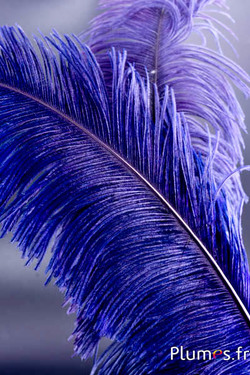 Strauß zugeschnitten - 50-60 cm - Heidelbeere